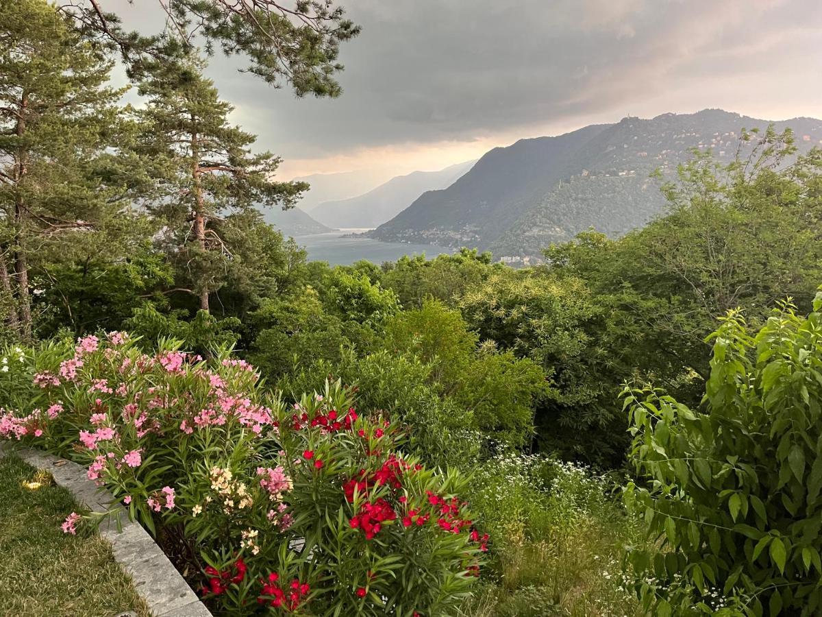Studio - Villa Cardano Como Exteriér fotografie